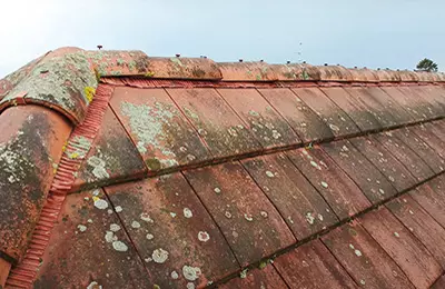 Le toit d'une maison avant nettoyage par un drone